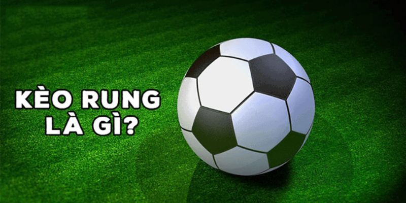 Cơ chế hoạt động của kèo rung chi tiết 