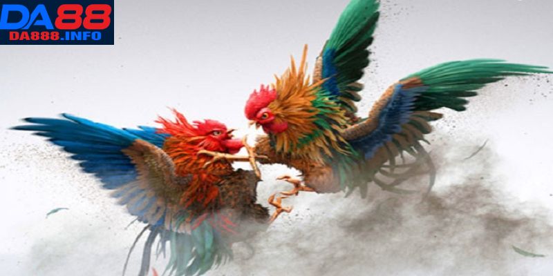 Điểm thu hút trong khi dự đoán chiến kê