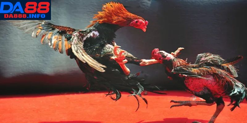 Quy trình thực hiện cược siêu tiện lợi