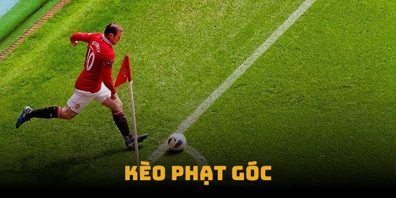 Sức hấp dẫn của kèo thu hút đông đảo người tham gia