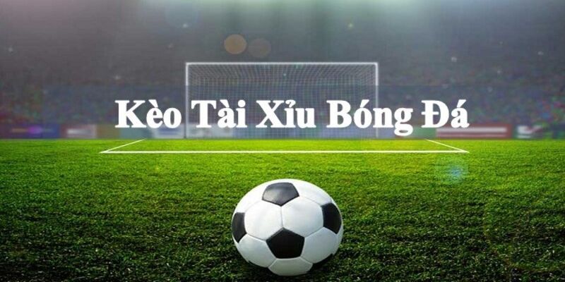 Vô vàn yếu tố nổi bật khi tham gia kèo