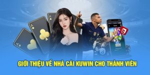 Giới thiệu chung về sân chơi đẳng cấp