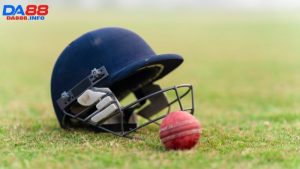 Cricket