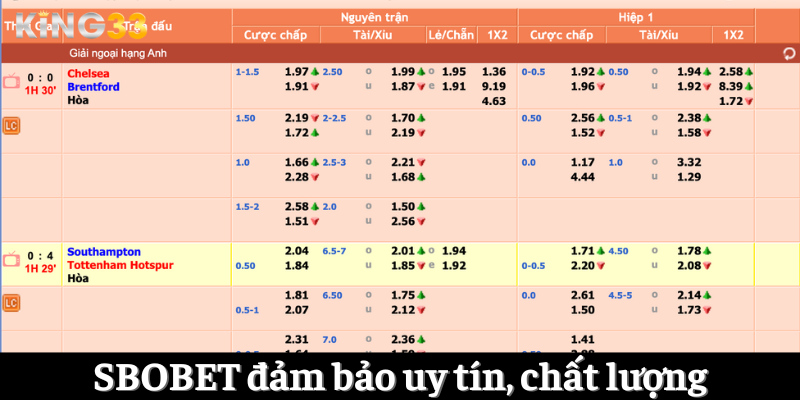 SBO Bet là sân chơi cá độ thể thao chất lượng 